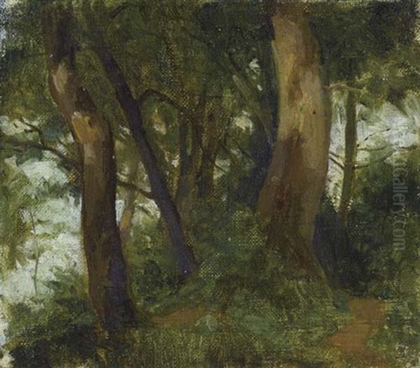 Waldinneres - view 1