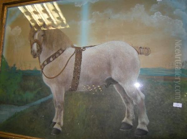 Horse - view 1