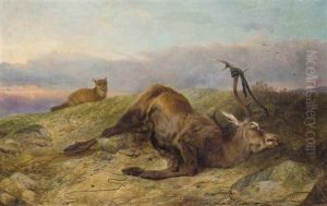 Dead Stag With A Fox In A Field Dead Stag With A Fox In A Field