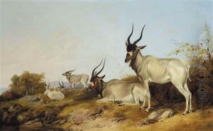 Addaxes In An Extensive Landscape by Richard Ansdell