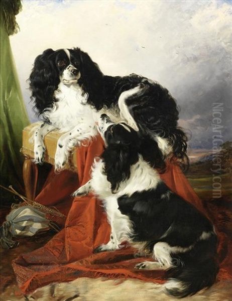 King Charles Spaniels - view 1