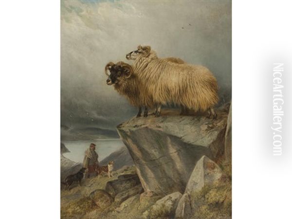 Sheep On A Crag With Ghillie And Dogs Below - view 1
