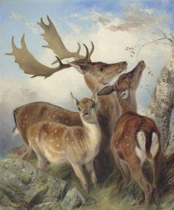 Fallow Deer by Richard Ansdell