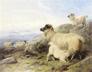 Sheep On A Mountainside by Richard Ansdell