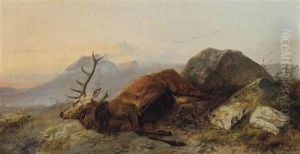 The Sleeping Monarch