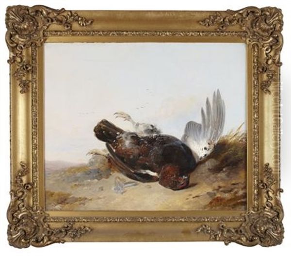 A Still Life Of Dead Game On A Hillside - view 1
