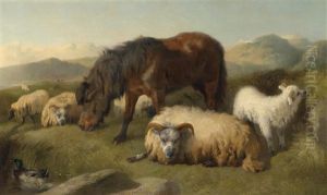 Ziegen, Schafe Und Ein Pony by Richard Ansdell