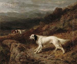 Setters At Work by Richard Ansdell