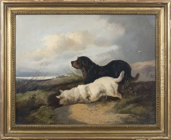 Terriers Ratting Along A Shore - view 1