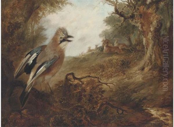A Jay With Deer In A Park - view 1