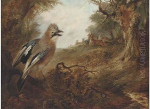 A Jay With Deer In A Park