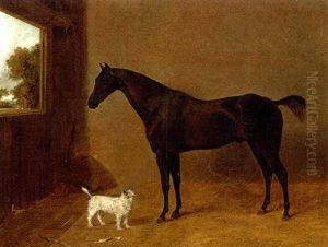 A Black Horse And Terrier In A Stable