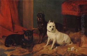 Two Manchester Terriers With An Old English White Terrier by Richard Ansdell