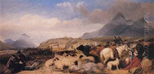Sheep Gathering In Glen Sligachan Sheep Gathering In Glen Sligachan