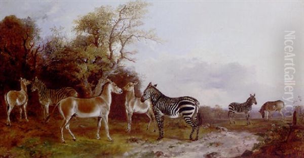 Wild Ass And Zebras In A Landscape - view 1