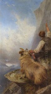 Rescued by Richard Ansdell