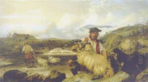 Sheep-dipping In The Highlands by Richard Ansdell