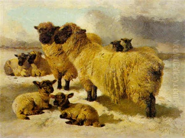 Sheep In The Snow - view 1
