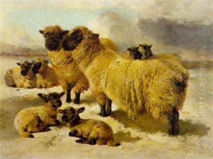 Sheep In The Snow by Richard Ansdell