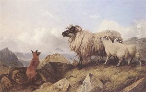 A Ewe And Her Lambs In The Highlands