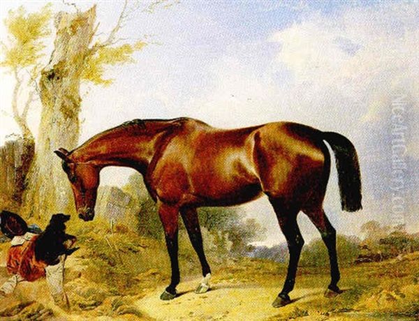 Good Companions - view 1