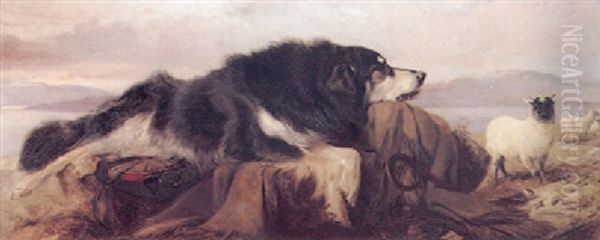 The Shepherds Dog - view 1