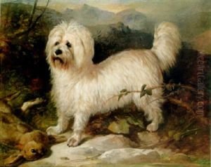 A Dandie Dimmont In A Landscape