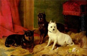 Pugs At Play by Richard Ansdell