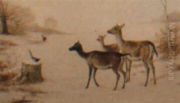 Deer In A Winter Landscape - view 1