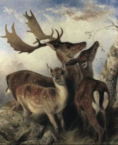 Fallow Deer by Richard Ansdell
