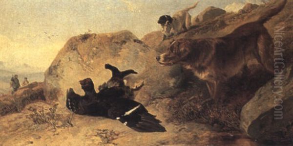 Retrieving Blackgame - view 1