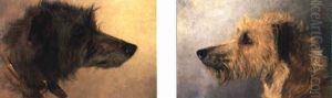 Two Studies Of Deerhounds Heads
