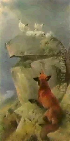A Fox Stalking Ptarmigan - view 1