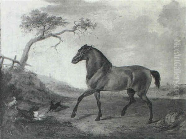 Portrait Of A Stallion And Three Dogs In An Open Landscape - view 1