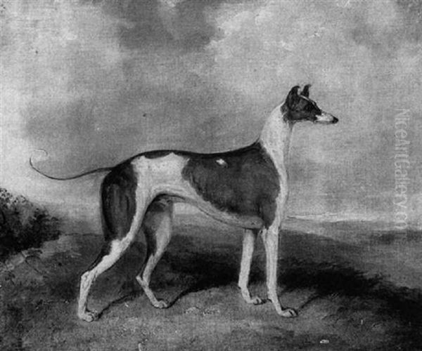 A Greyhound In A Landscape - view 1