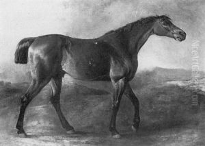 Lord Sefton's Celebrated Irish Hunter Shamrock In A Landscape by Richard Ansdell
