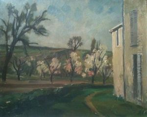 Arbres A Fleurs
