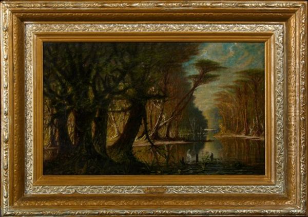 Mystic Louisiana Bayou Scene With White Heron - view 1