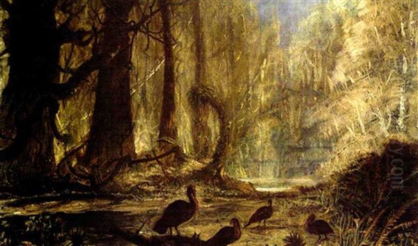 A Flock Of Turkeys In The Forest - view 1