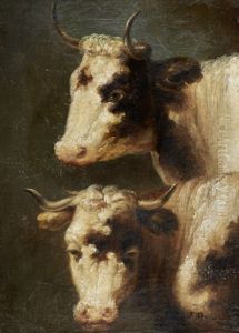 Cabecas De Vaca by Tomas Jose Da Anunciacao
