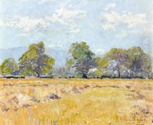 Kornfeld Im Sommer by Armand Adrien Marie Apol