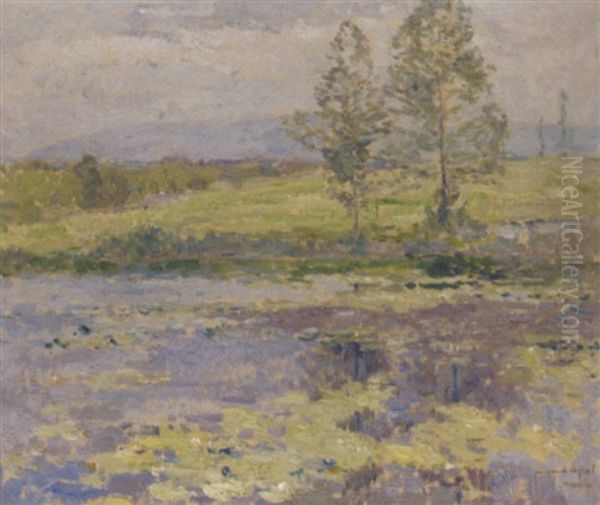 Water Lilies On A Lake - view 1