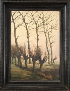 Paysage A/saules Tetards