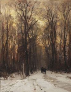 Along A Forest Path On A Winter's Day