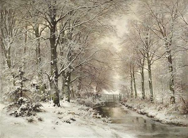 Baumgesaumter Bachlauf Im Winterwald - view 1