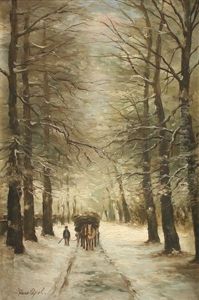 Le Chemin En Hiver