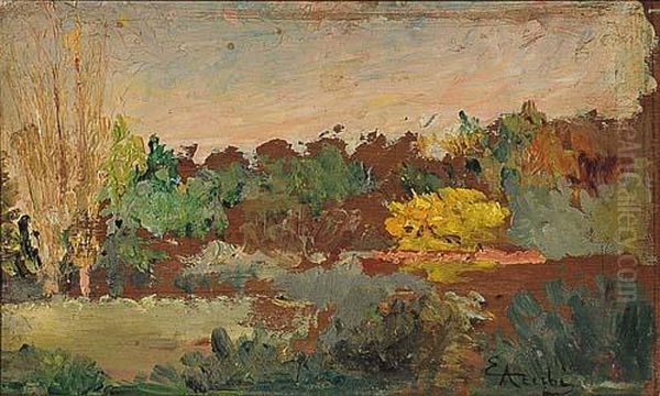 Paesaggio - view 1