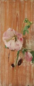 Fiori by Ezechiele Acerbi