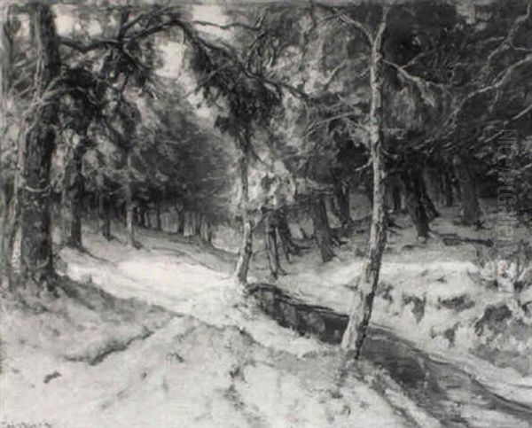 A Snowy Wooded Landscape With A Frozen Creek - view 1