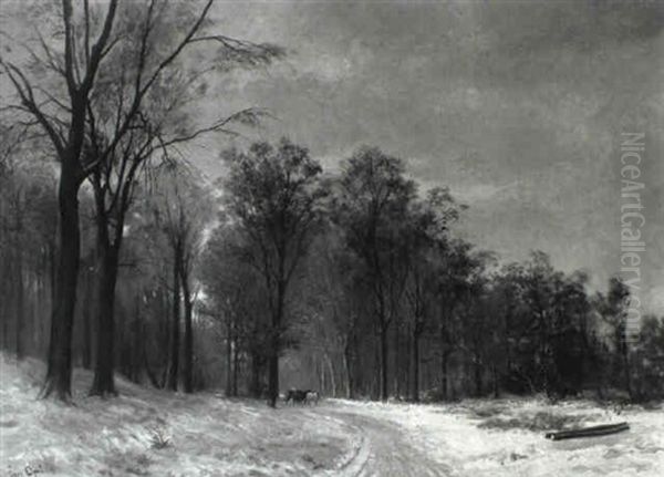 Wooded Winter Landscape With Horse And Carriage On Path - view 1